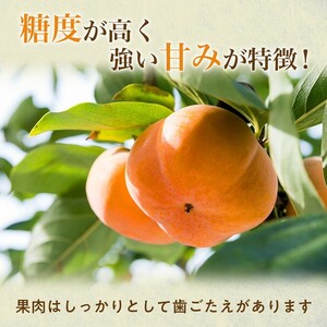 【令和8年産柿/先行予約】優しい農園の特選次郎柿 5kg 次郎柿 