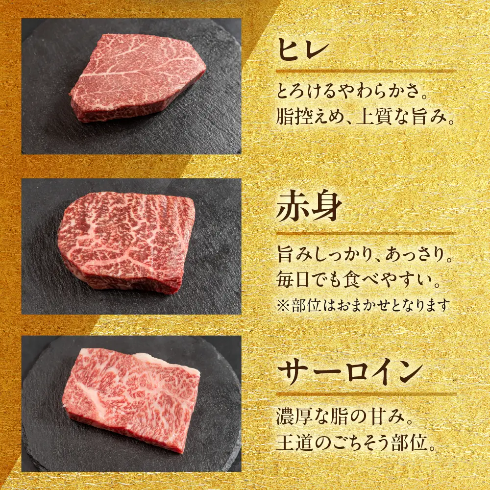 飛騨牛ステーキ 3種 食べ比べセット（各100g）計300g （サーロイン・ヒレ・赤身）【22-50】