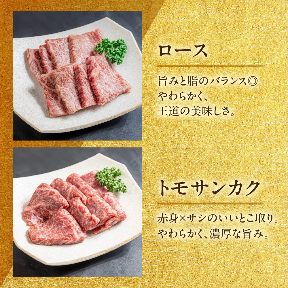飛騨牛 焼肉 5種 食べ比べセット（各100g）計500g （カルビ・肩・モモ・ロース・トモサンカク）【22-53】