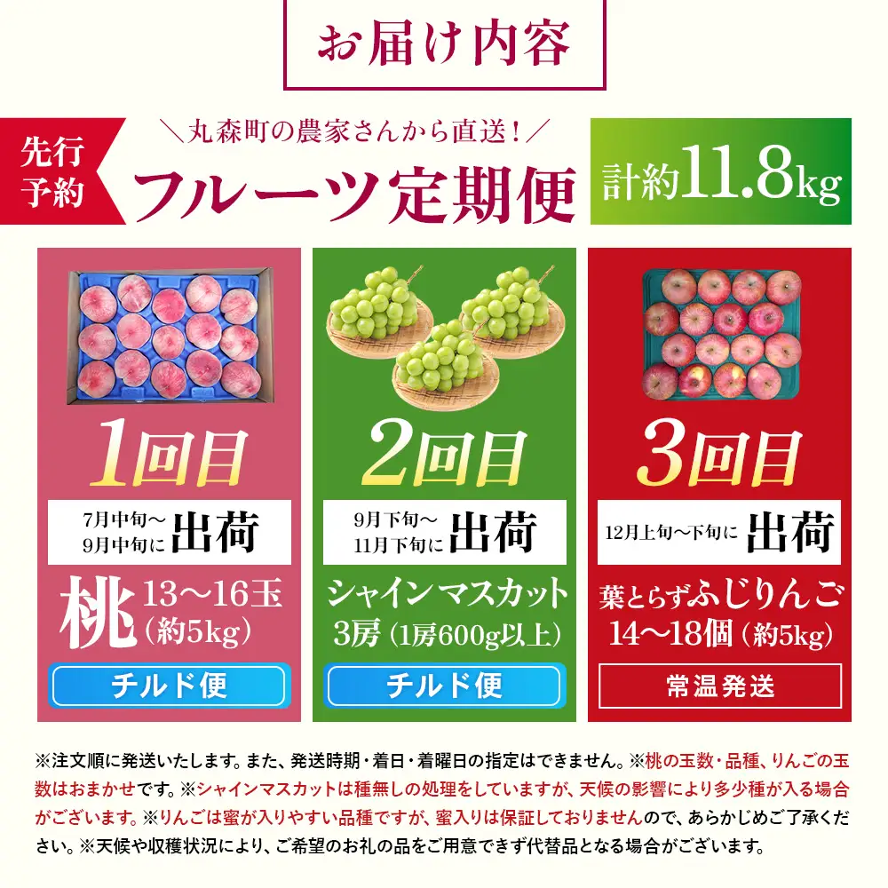 【先行予約】《採れたてを農家直送》 宮城県丸森町産 フルーツ定期便 コース2 （桃・シャインマスカット・りんご）【48008】