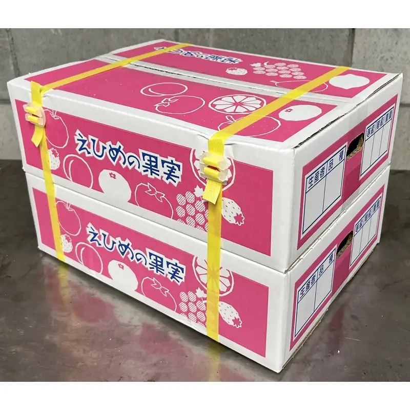 【2026年先行予約】 愛果28号 約3.3kg×2箱 ご家庭用 みかん 紅まどんなと同品種 柑橘 愛媛 【2026年11月下旬から順次発送予定】 数量限定 人気 伊予市｜C139