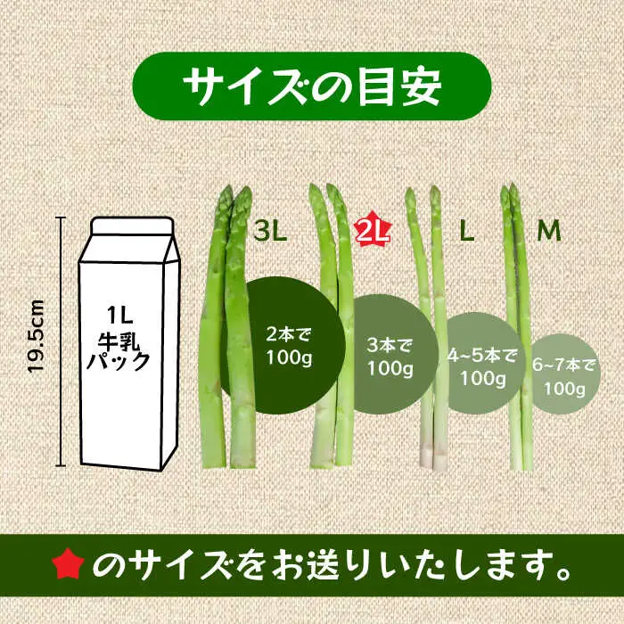 【先行予約】モーモーアスパラ 夏芽 2L 1.2kg（6月上旬から順次発送） 酪農 牧場 こだわり アスパラガス おすすめ 大分県　日田市 / 株式会社本川牧場[ARAI039]