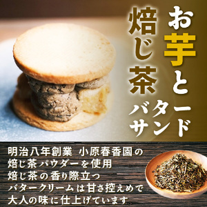 特選スイーツセット お芋と焙じ茶バターサンド 蜜芋チーズケーキ 蜜芋バターケーキ 乾蜜芋 芋と茶 頂 -itadaki-_OS073-0003