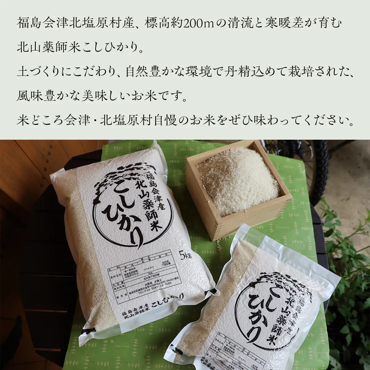 【先行予約/令和8年産 新米】【6ヵ月定期便】福島会津産・北山薬師米こしひかり5kg×6回お届け(200m高地栽培） KBAG011