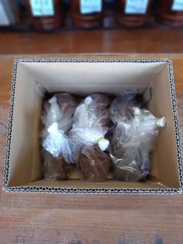 十割糀味噌 3kg箱【020-54】
