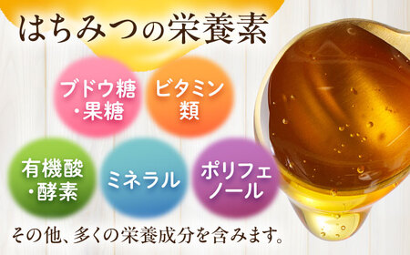 森のはちみつ 百花蜜 600g 蜂蜜 ハチミツ 大村市 三浦かんさく市[ACAE006]