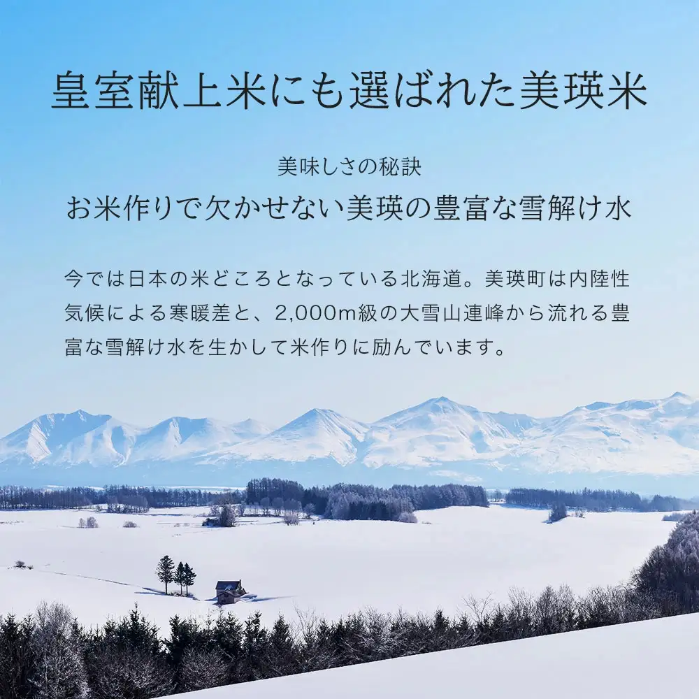 【12回定期便】白米 10kg ななつぼし 皇室献上米 精米 ブランド米 定期便 