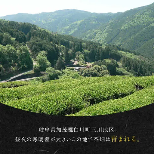 発酵和茶Trinitea 二番茶リーフタイプ 和紙化粧箱入り / ヨリスグリ[AWBV006]和紅茶ギフト