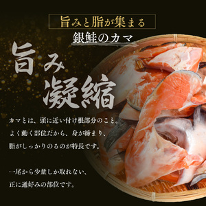 塩銀鮭カマ【端材、訳あり】3kg 福井県
