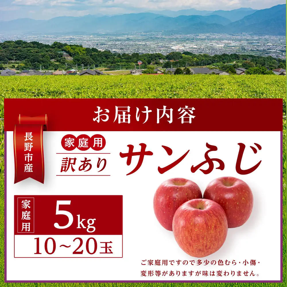 金オ岡村青果株式会社 長野市産 サンふじ りんご 家庭用 訳あり 5kg 【2027年1月中旬頃より発送予定】 | りんご フルーツ