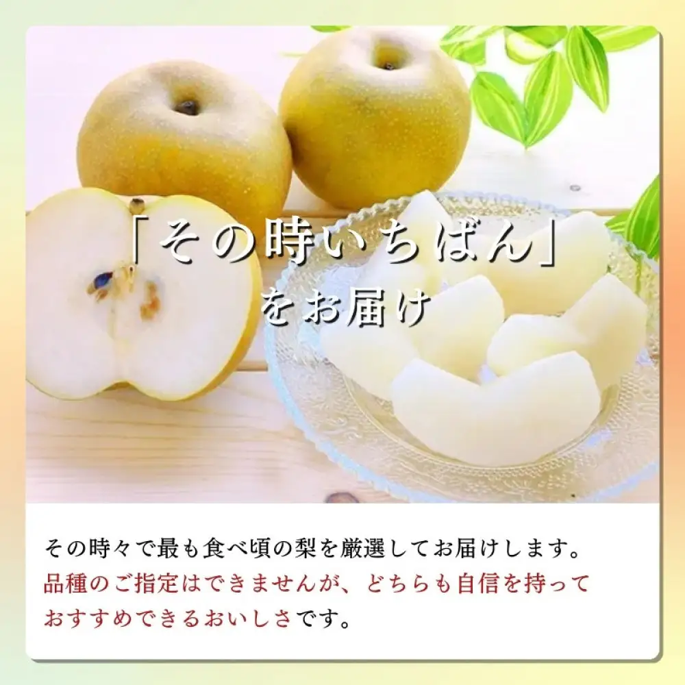 長野市産 梨 3kg（6～12玉）【2026年9月上旬以降発送予定】(さらしな青果) | 梨 フルーツ