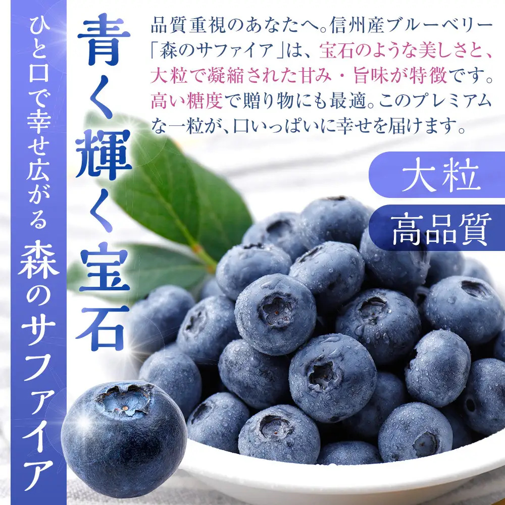 【2027年7月上旬～順次発送 先行予約】【Lサイズ】生ブルーベリー「森のサファイア」500g | ブルーベリー  フルーツ 冷蔵  人気 おすすめ ギフト 送料無料 長野県 長野市 信州 信濃 ふるさと納税