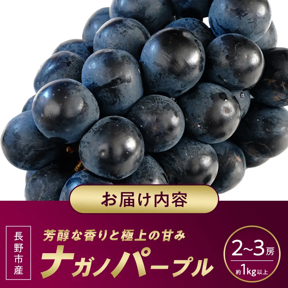 ナガノパープル約1kg 以上【2026年9月以降発送予定】(さらしな青果) | ぶどう ぶどう 種なし