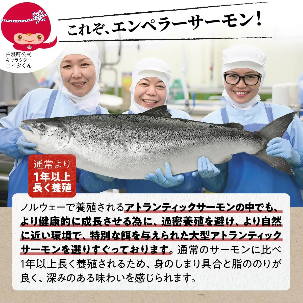 エンペラーサーモン  400g_T010-1110