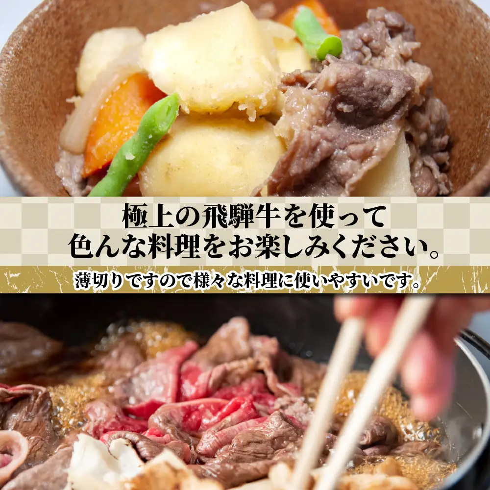 牛肉 飛騨牛 訳あり 切り落とし500g 牛肉 LR011