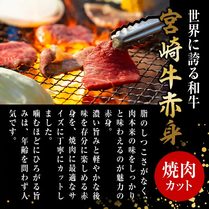 宮崎牛 赤身カット 焼肉 (計500g・250g×2) 焼肉 お肉 牛肉 黒毛和牛 宮崎牛 ブランド和牛 冷凍 国産 モモ ウデ 宮崎県産 【YM-20】【YAMATO株式会社】