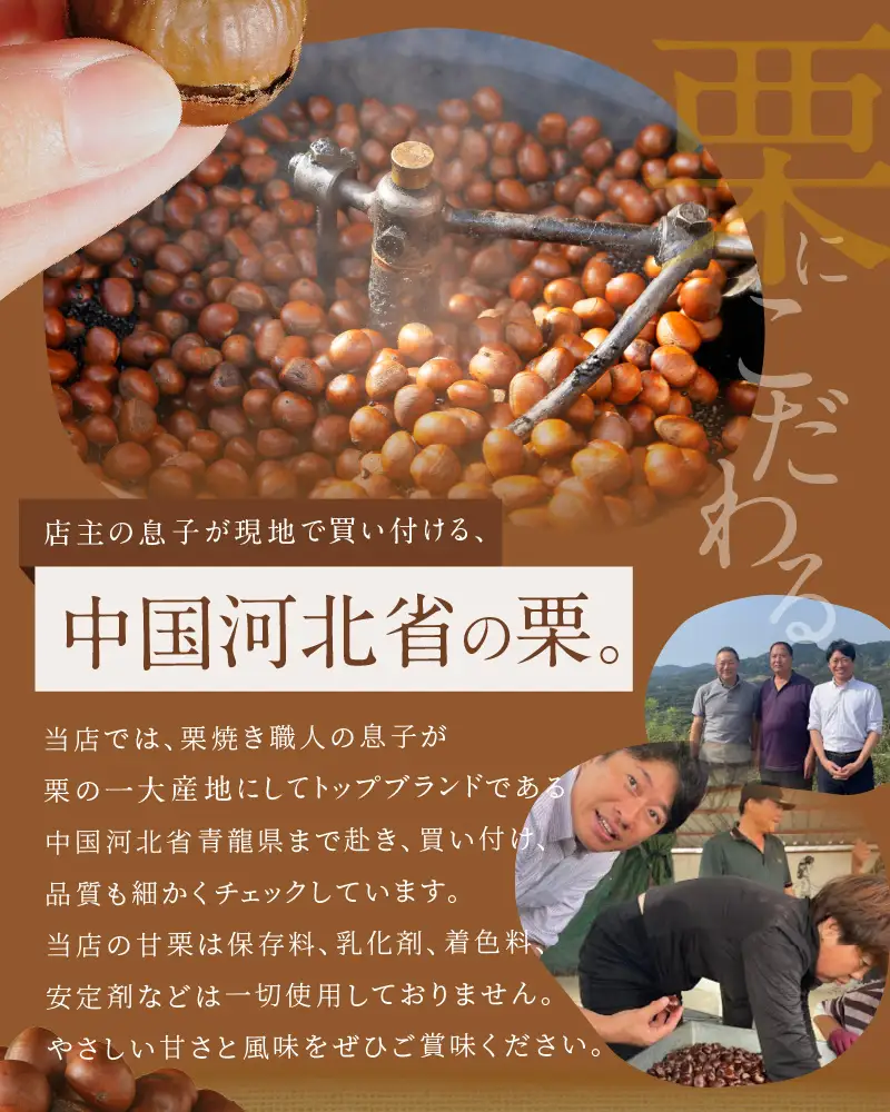 この道50年の職人が焼く、やさしい甘みたっぷりの「天津甘栗」 800g ！ 焼きたて 栗 くり 栗爪 殻付き お菓子 おつまみ 人気 高リピート 小分け 栗ご飯 栗きんとん 甘露煮 碧南市 H045-077