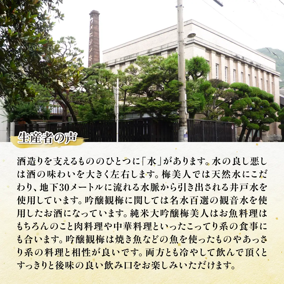 純米大吟醸梅美人720mlと吟醸観梅720mlのセット【D03-8】【1043422】 YWTO004