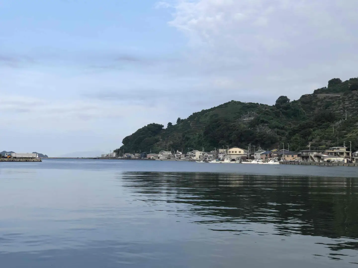 竹中水産の大サイズ「メバル又はホゴ」1キロ!【D22-242】【配送不可地域：離島・北海道・沖縄県】【1073403】 YWTM060