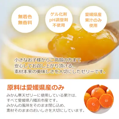 愛媛選り抜き!スペシャルかんきつゼリー12本セット │ みかん 不知火 甘平 清見【C25-152】【1452992】 YWTAP094
