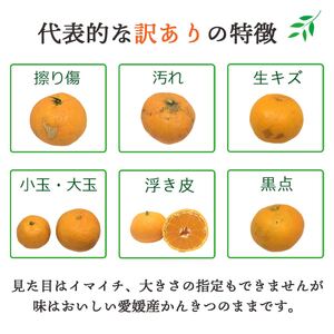 【先行受付】シーズン一番採り!極早生みかん 8kg【訳あり】【C25-131】【1166252】 YWTAP074