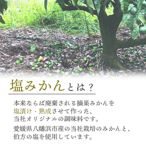みかんがふわっと香る愛媛の新しい調味料 塩みかん全種詰め合わせセット【D25-81】【1305615】 YWTAP042