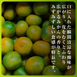 【先行受付】まもなく収穫! 極早生みかん 5kg【C31-15】【1042517】 YWTAC007