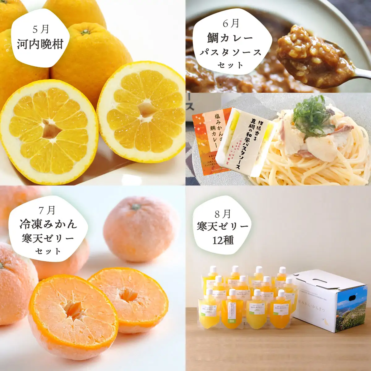 【発送月固定定期便】愛媛の人気品種を厳選!みかん定期便(秀品)【H25-166】全12回【配送不可地域：離島】【4054625】 YWTAP107