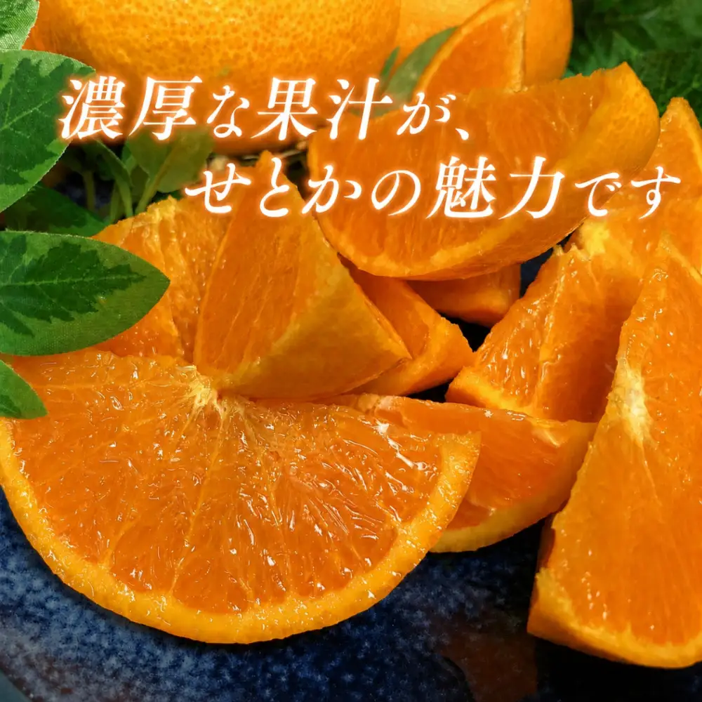 【先行受付】柑橘の大トロ!「せとか」約2.5キロ【訳あり品・家庭向け】【C39-65】【配送不可地域：離島】【1619102】 YWTF040