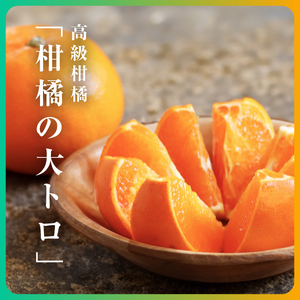 【先行受付】三代目の柑橘の大トロ【せとか】4kg　サイズ:L～4L混合【E31-52】【配送不可地域：離島】【1631010】 YWTAC041