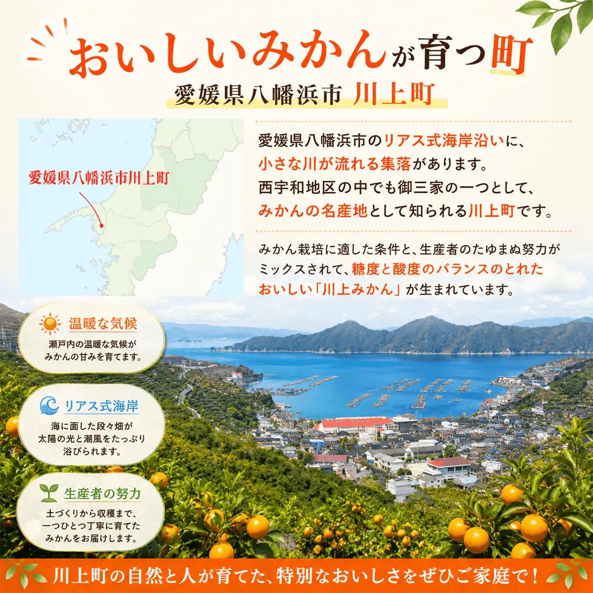 【先行受付】【天皇杯受賞産地】 愛媛県八幡浜市川上町産 温州みかん 約5kg【訳あり】【C25-247】【1654045】 YWTAP188