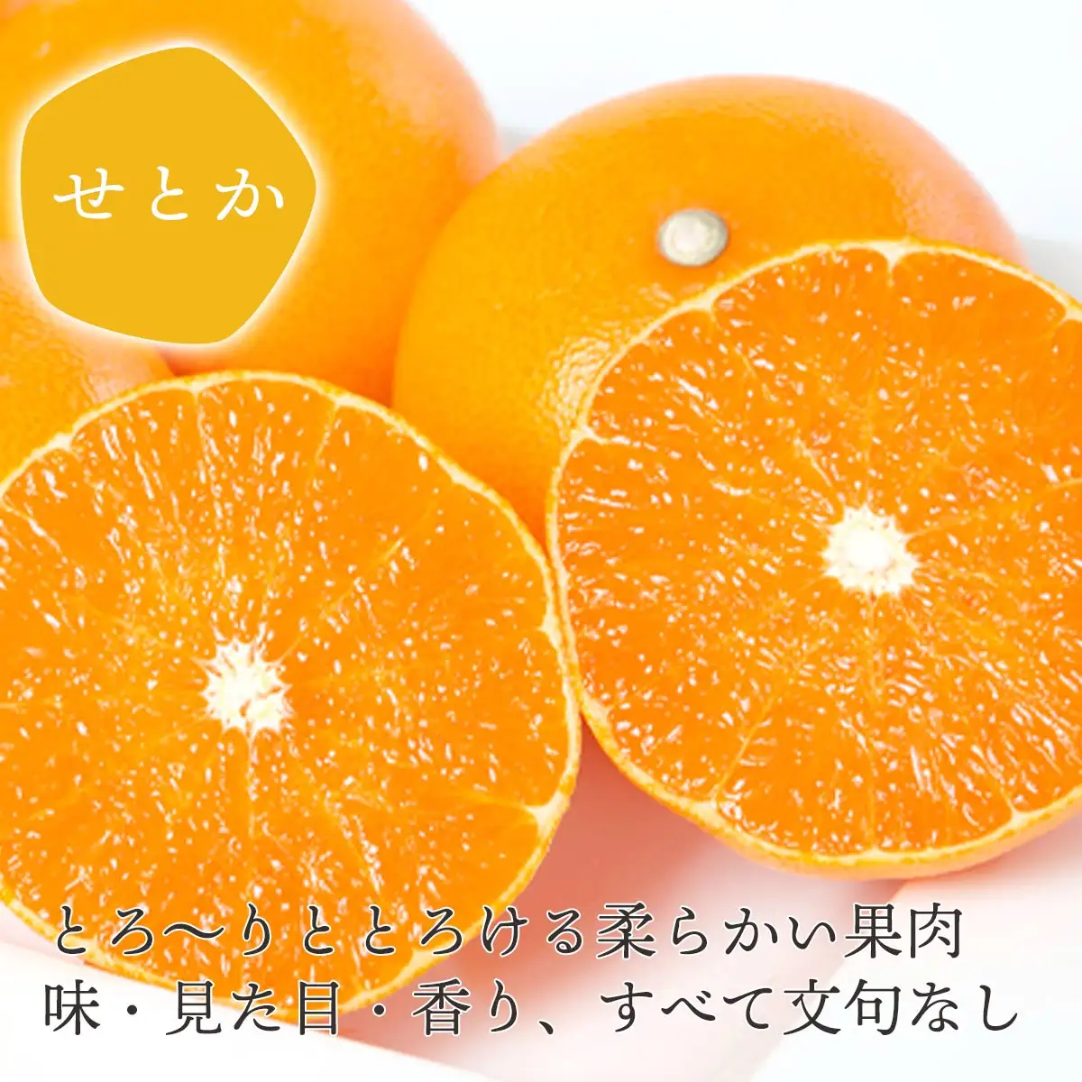 【発送月固定定期便】【愛媛限定栽培】甘平3kg×せとか2kg【H25-271】全2回【4071372】 YWTAP212