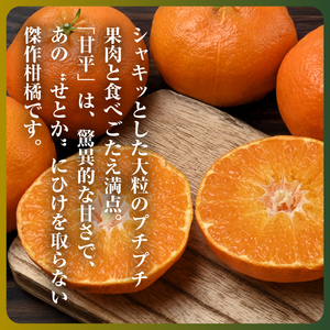 【先行受付】【愛媛限定】驚きの甘さ!幻の柑橘《甘平》2kg(M～3L玉混合)【D31-55】【1660047】 YWTAC044