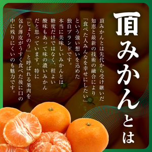 【発送月固定定期便】【4ヶ月連続】旬ごとに味わいが変化!頂みかん 2.5kg【G31-58】全4回【4073179】 YWTAC047
