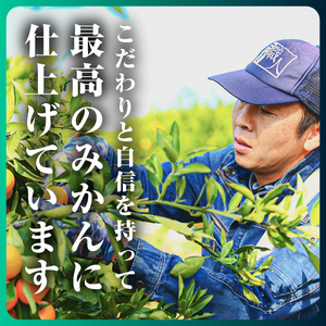 【先行受付】三代目がつくる高品質【頂みかん】3kg【C31-60】【1181950】 YWTAC049