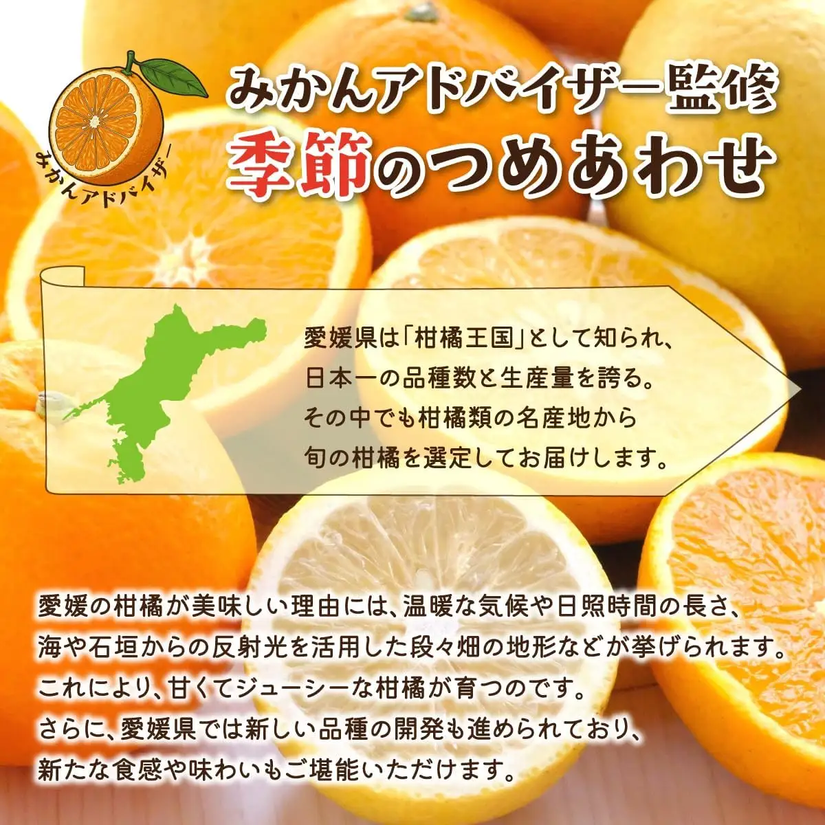 【先行受付】愛媛県八幡浜産 旬のかんきつ詰め合わせバラエティセット 計2kg【訳あり】【C25-293】【1704511】 YWTAP234