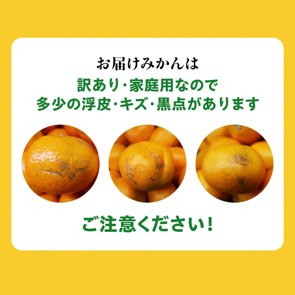 【先行受付】【訳あり】みさき果樹園の不知火10kg【C21-61】YWTBC042