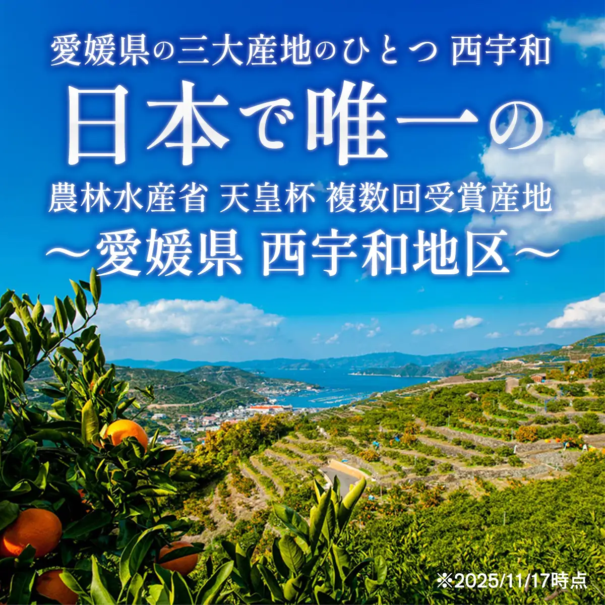 【先行受付】【ご家庭用】甘平 2kg 愛媛県 八幡浜産 西宇和地区 扁平で濃い味 新食感【C25-311】【1713687】 YWTAP252