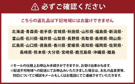 【ティータイムやギフトにおすすめ】 サクサク生地×とろけるリンゴの絶品アップルパイ 4ホール ／ りんご 焼き菓子 おかし お菓子 菓子 洋菓子 焼菓子 スイーツ アップルパイ パイ リンゴ 林檎 特別な日 記念日 誕生日 ギフト 贈り物 ホール ホールサイズ パイ生地 果実