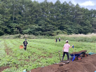 【先行予約】2027年≪5本≫朝採り完熟とうもろこし 恵味スター 糖度18度超！黒姫高原 令和9年7/15~25限定出荷／TAKA農園