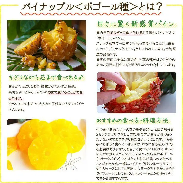パイナップル 石垣島産 スナックパイン 約2.8kg 2～4玉