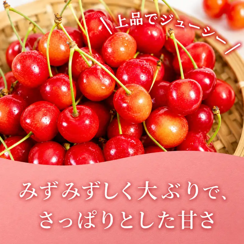 さくらんぼ 360g 佐藤錦 Lサイズ サクランボ