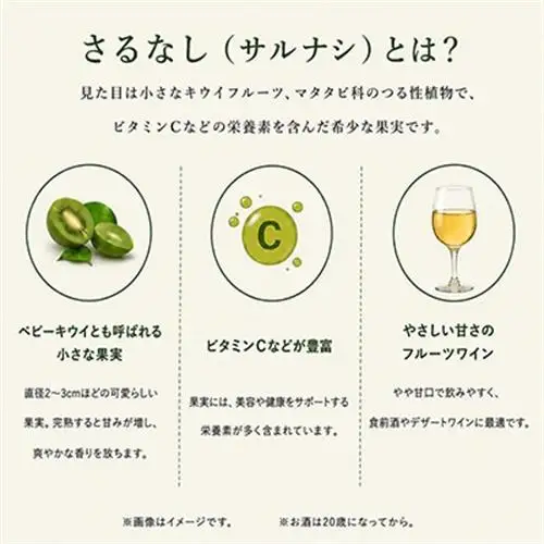 【2026年春限定醸造　軽米町産完熟サルナシ使用】さるなしワイン　2本【配送不可地域：離島・沖縄県】【1721321】