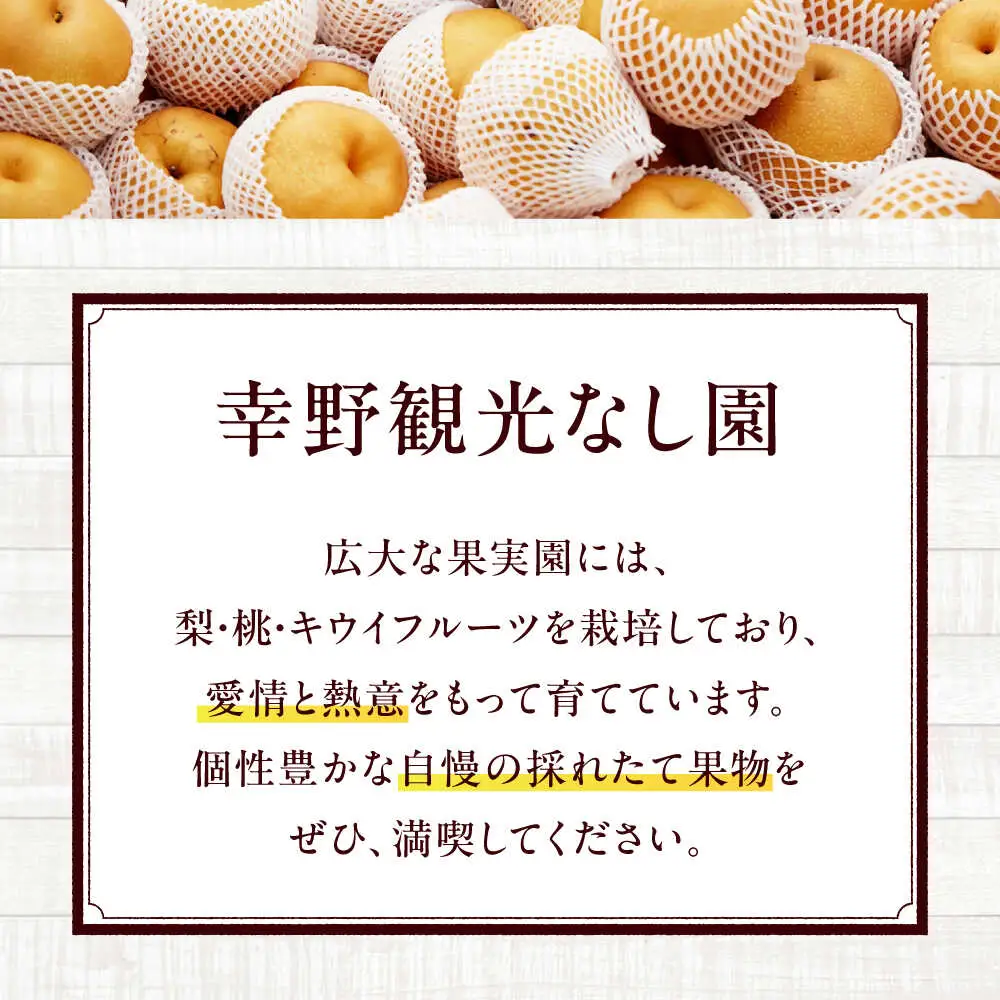 梨【2025年9月中旬から順次発送】特選 あきづき 梨 2kg（5個から7個入り）[AGBD008]