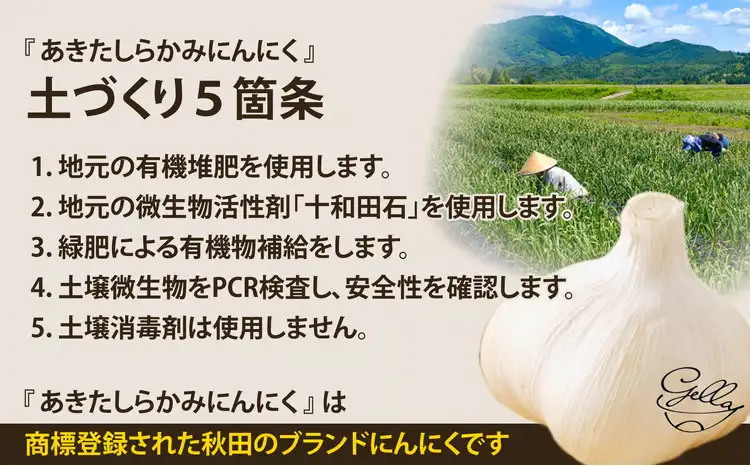 【あきたしらかみ】にんにくCUBE  250g(1袋約50ｇ×5袋）　【90P121004】【 gella】