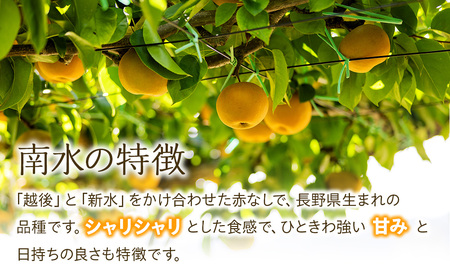 梨 南水 約5kg 2026年 令和8年発送 信州産 産地直送 梨