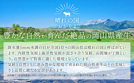 【6ヶ月定期便】岡山県産牛 切り落とし 交雑牛 1kg お試し 大容量