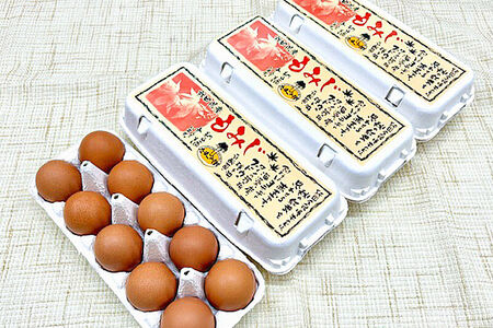 《定期便9ヶ月》 たまごの樹 純国産鶏種 卵『もみじ』27個+割れ保証3個付き（10個入×3パック）