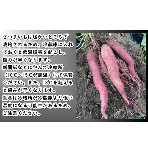 8-010-013　さつまいも（シルクスイート）5kg【マルゼン佐藤果樹園】