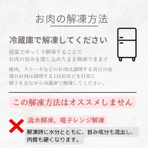 訳あり　佐賀牛　焼肉用切り落とし1ｋｇ 100-J707